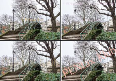 exemple de 4 filigranes, avec une incrustation plus ou moins importante