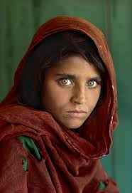 SMcCurry-Sharbat Gula2