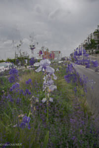 K-1 surimpression mode lumineux