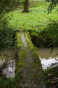 1/320s à f/4 - ISO 400 - 36mm (K-3 + DA 17-70/4)