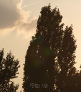 Pentax FA* 300mm - Flare