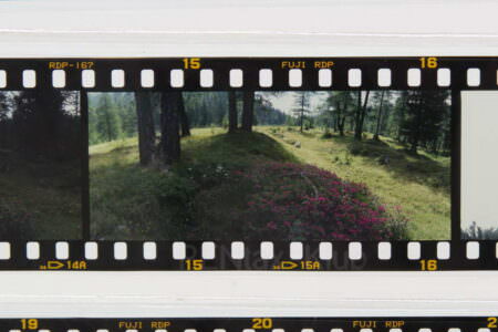 Portion de film pour diapositive couleur non montée sous cache
