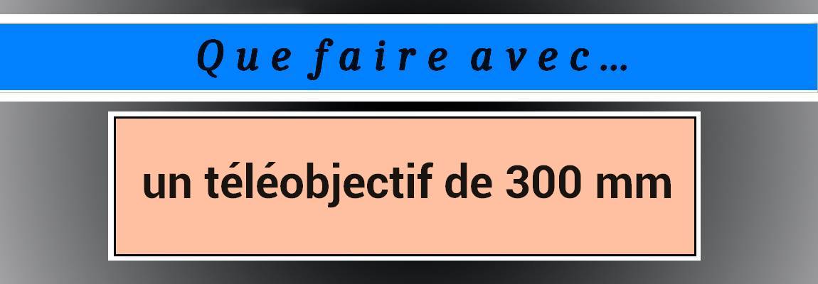 pkb_quefaire300